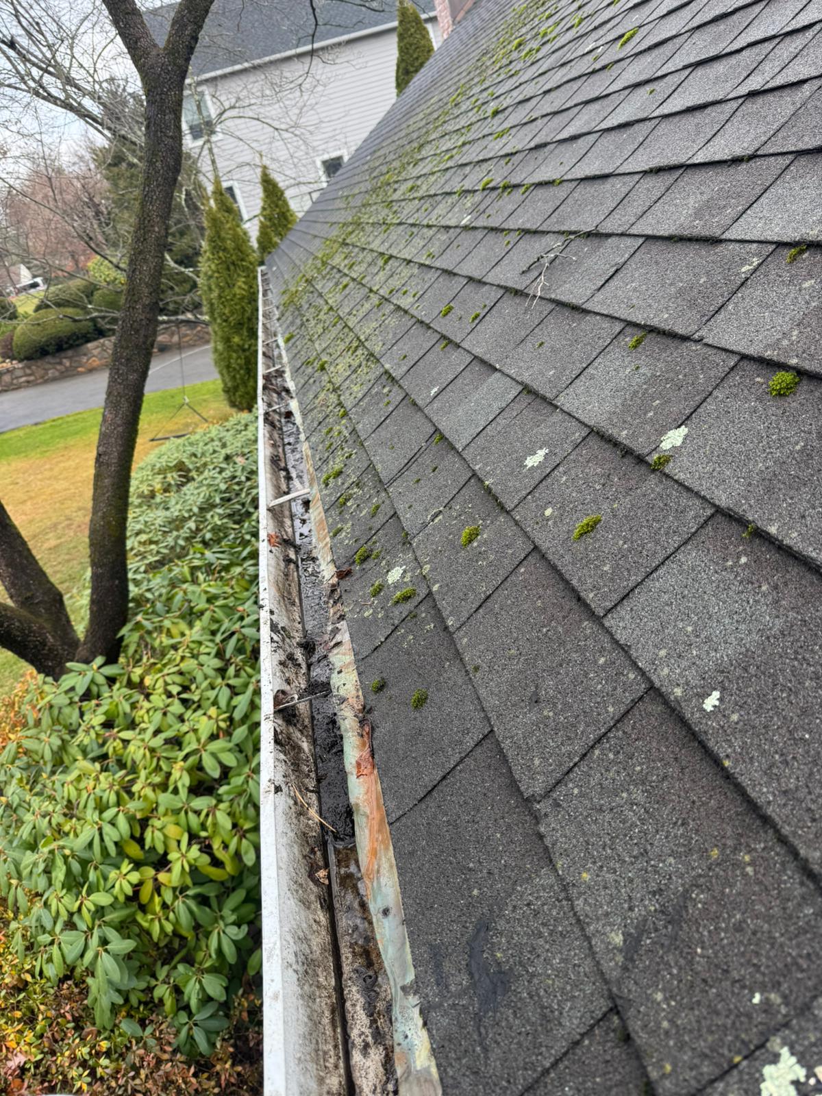 WhatsApp Image 2026-01-16 at 4.21.27 PM (1)